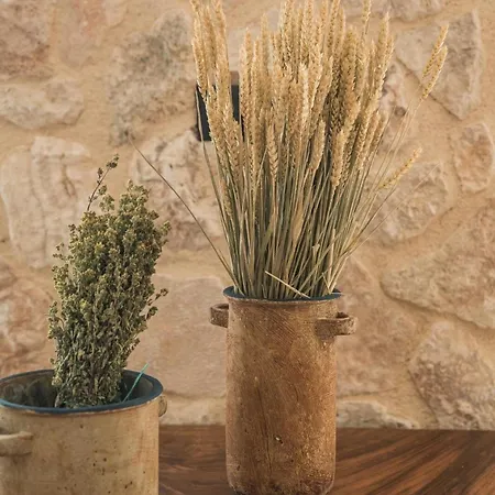 Adrias Kefalonia Vila Zóla